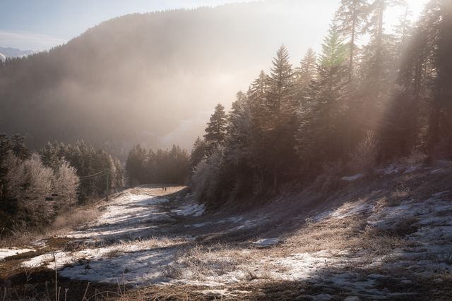 Redescente sur les pistes